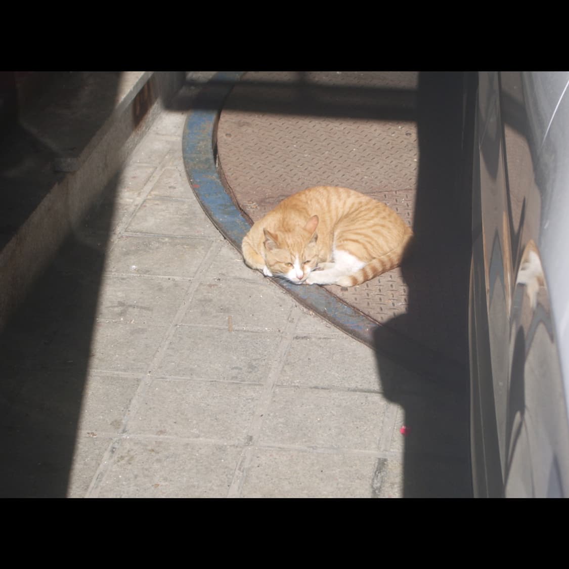 작례⭕️ 펜탁스 옵티오 S55 메탈실버⌚ 상품이미지5