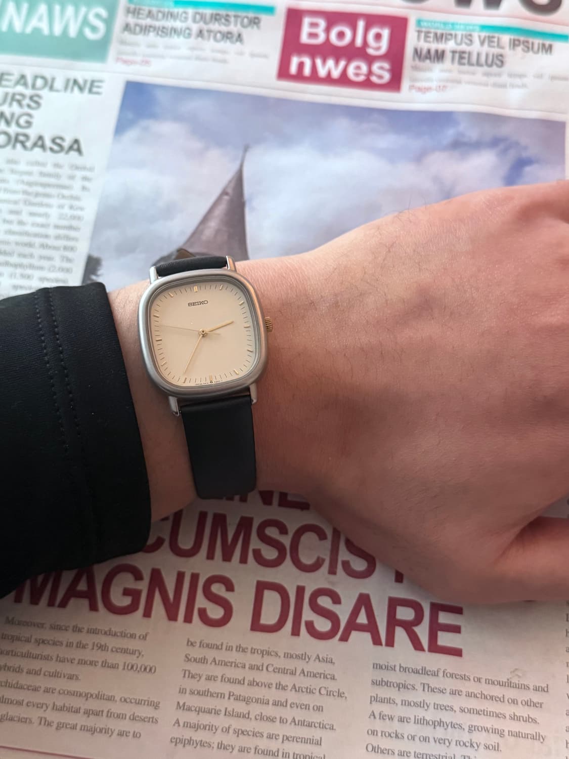 세이코 Seiko 심플 스퀘어  상품이미지4