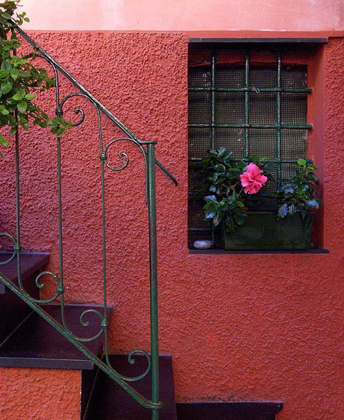 Nikon Coolpix 2200 (니콘 쿨픽스 2200) 상품이미지9