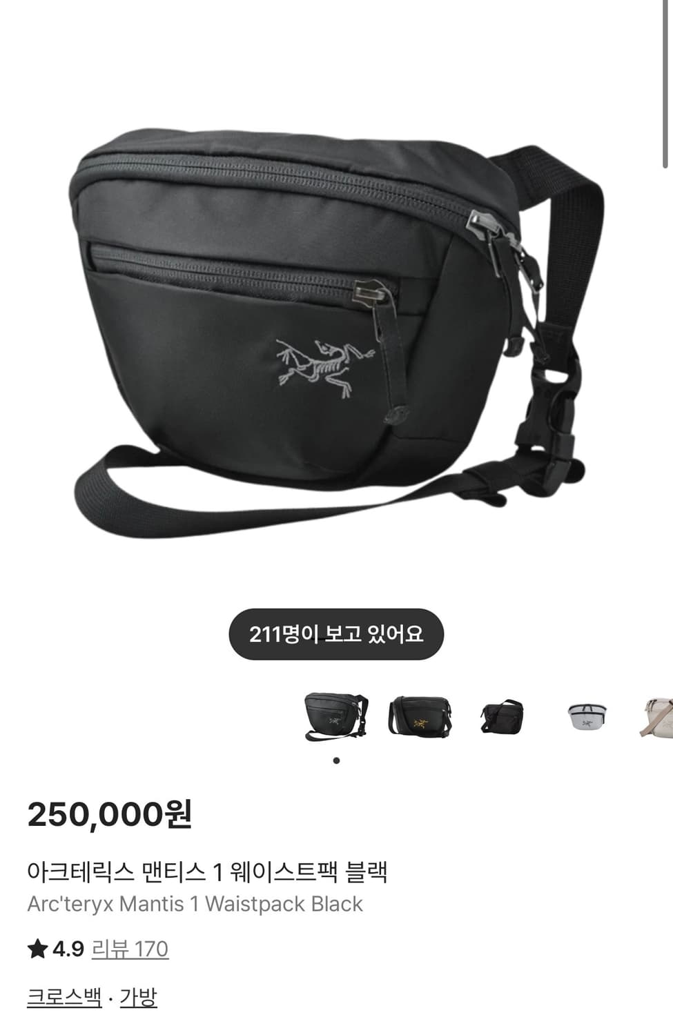 아크테릭스 맨티스1 웨이스트백 상품이미지3