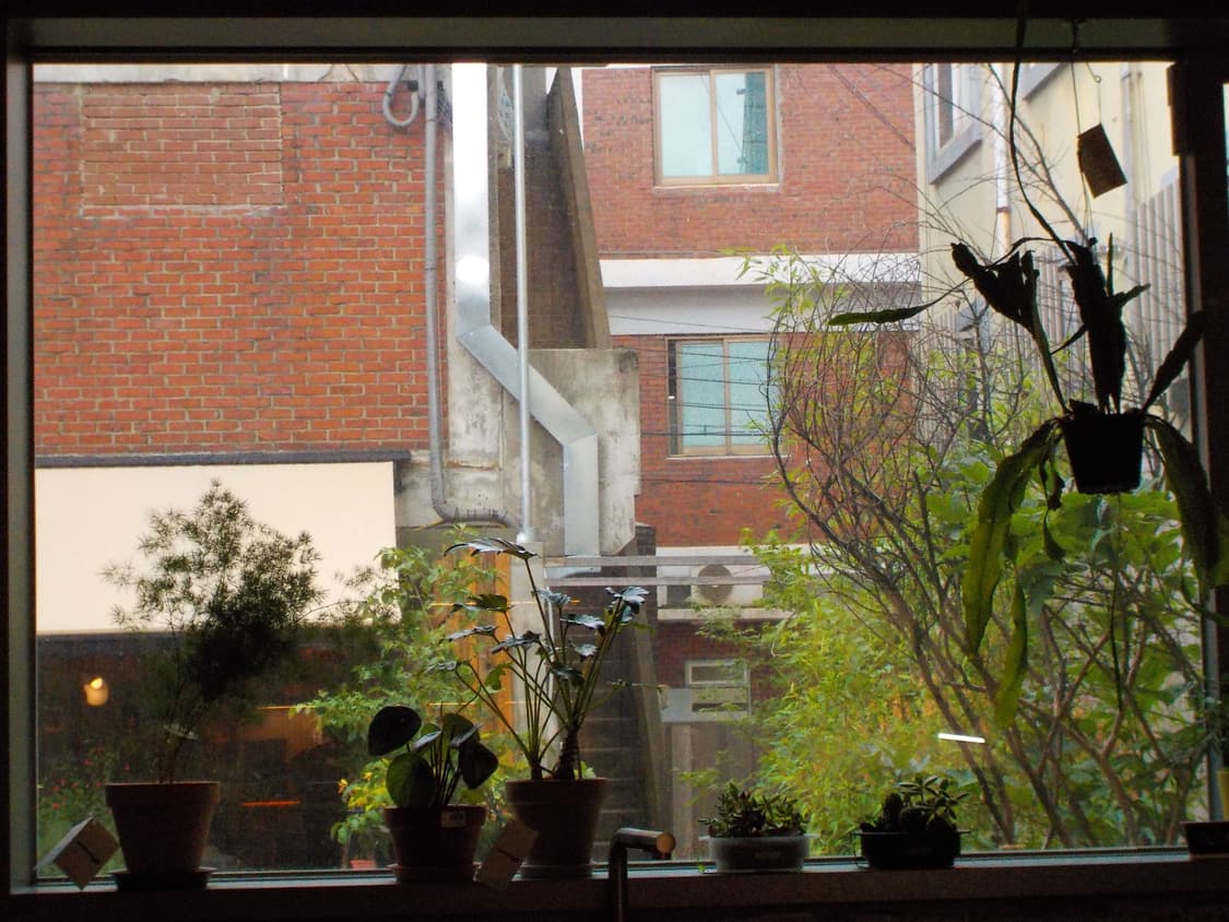 [초보추천템]Nikon Coolpix S5 실버 빈티지디카 상품이미지8