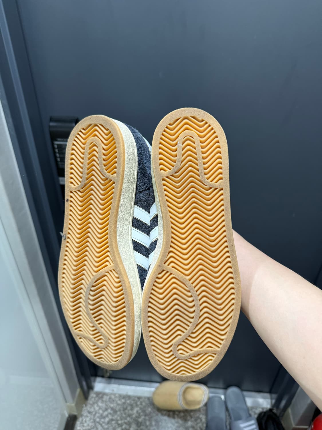 아디다스 콘 캠퍼스 2 / 270 상품이미지4