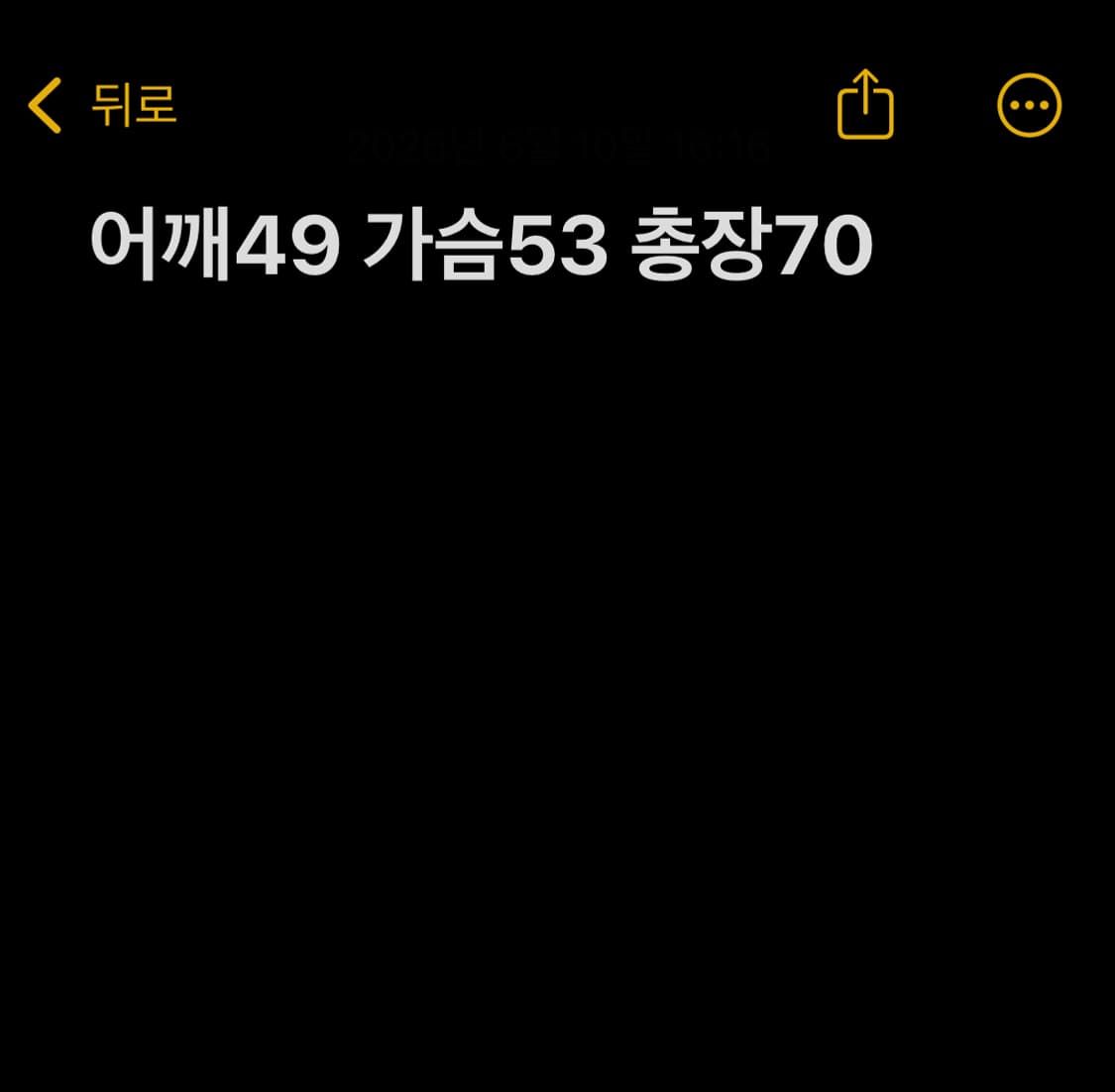 폴로 랄프로렌 빅포니 카라티셔츠 화이트 상품이미지9
