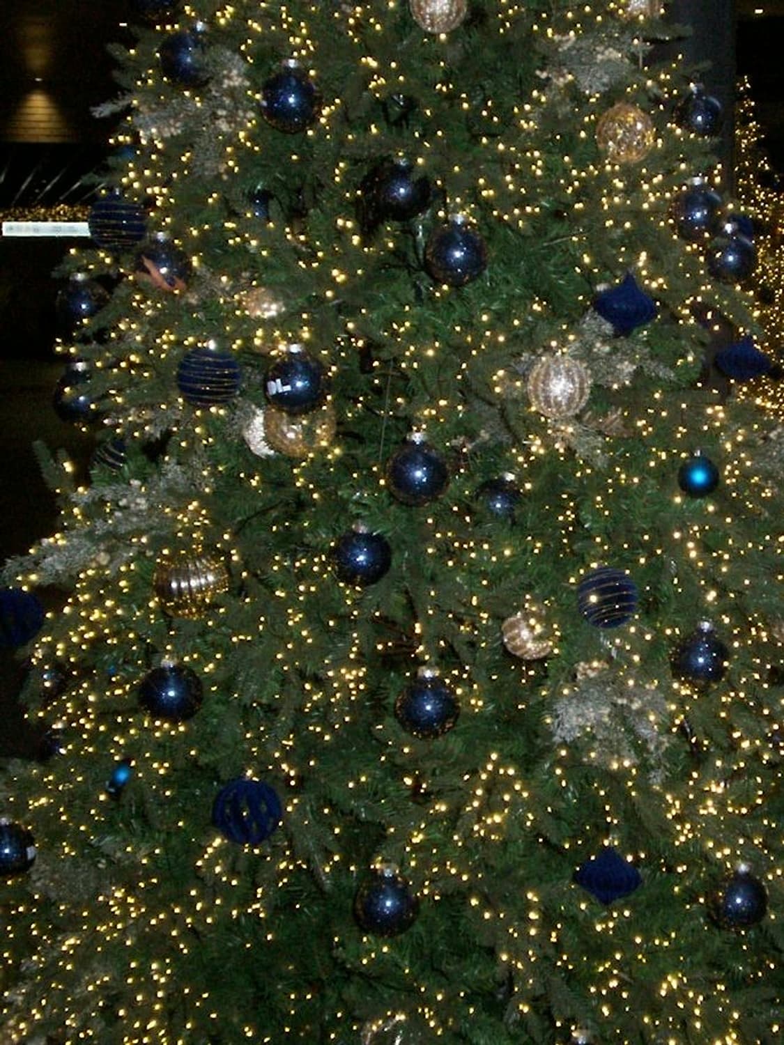 코닥 이지쉐어 c310 빈티지디카 상품이미지8