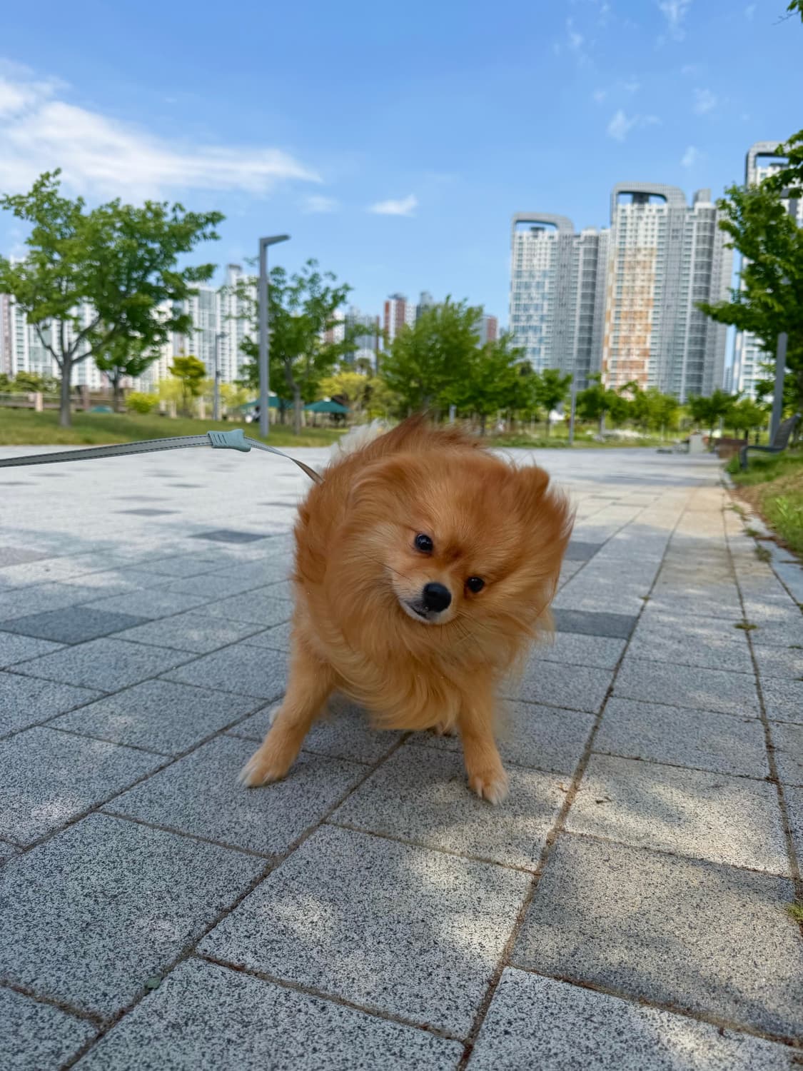 베스티 상품이미지1