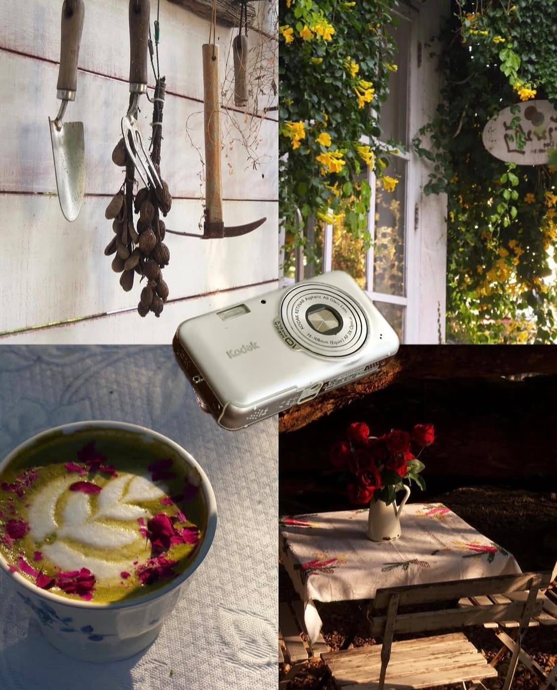 코닥 이지쉐어 v803 디지털카메라 상품이미지8