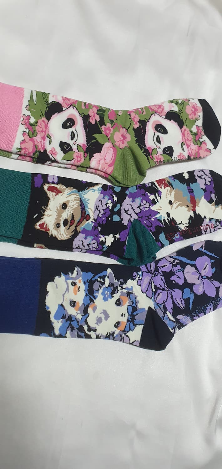 팬다 강아지 양 양말 상품이미지7