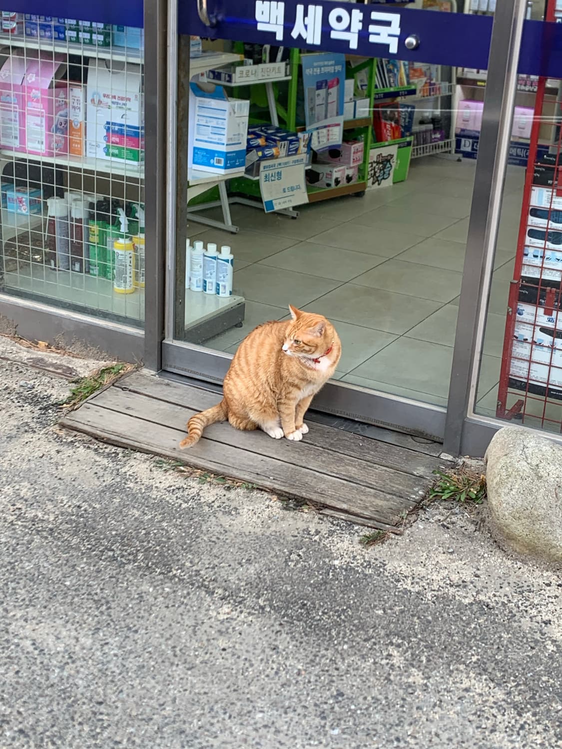 아이폰 xs실버 64기가 상품이미지7