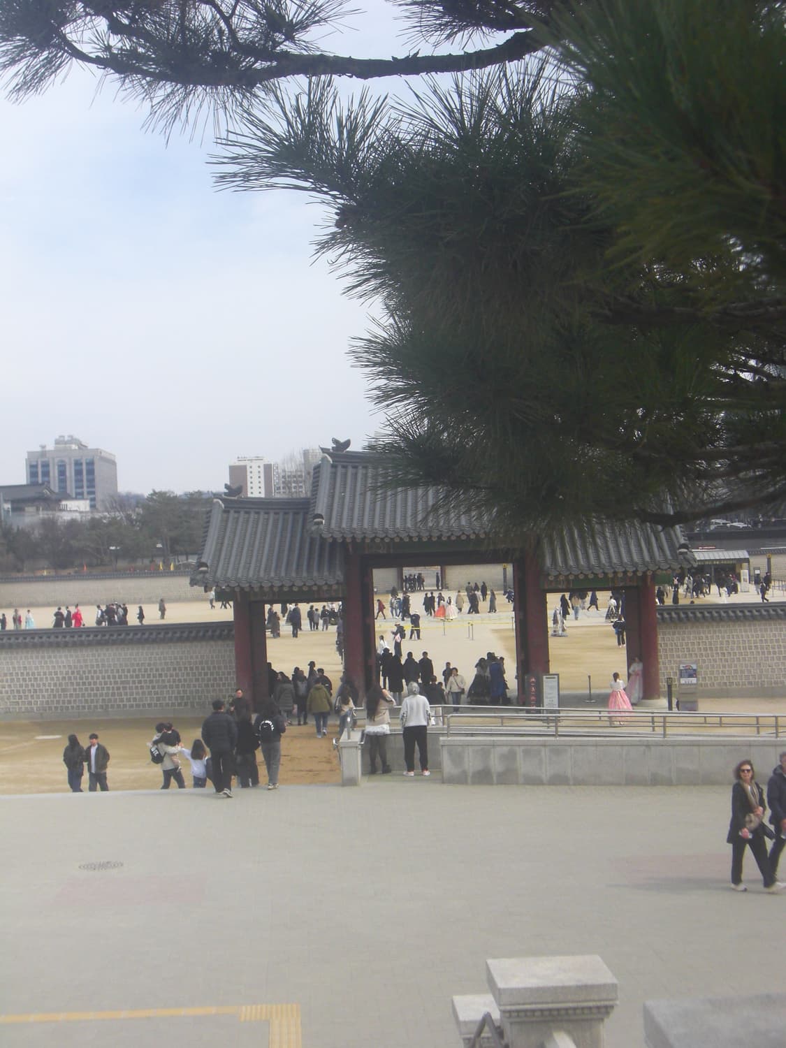 카시오 Casio Exilim ex-s880 와인컬러 (작례포함) 상품이미지8