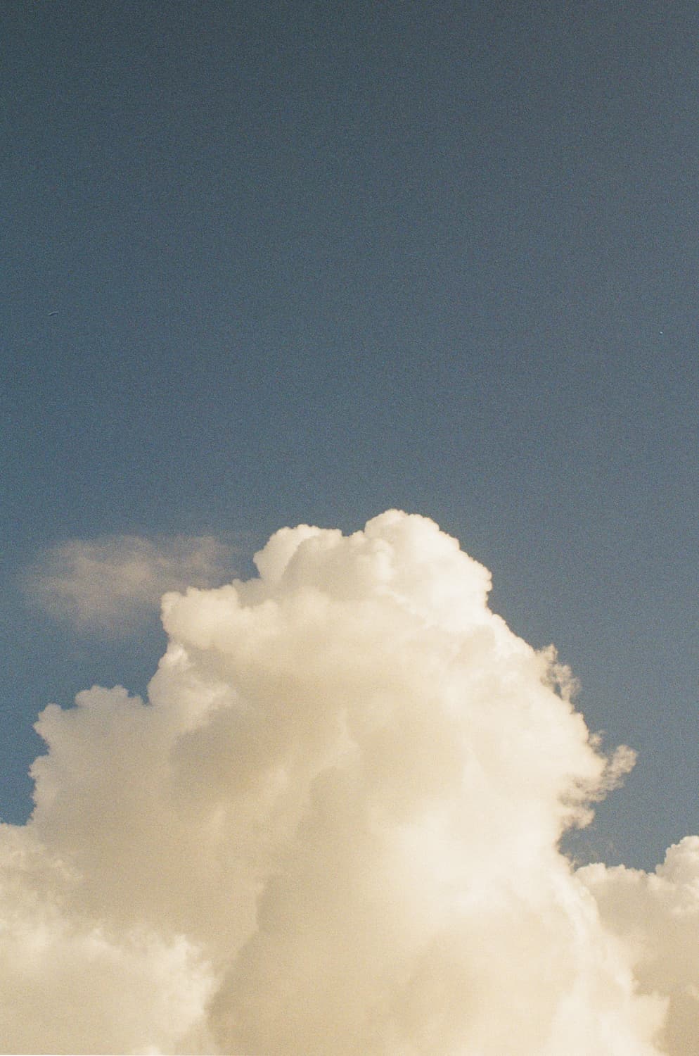 후지필름 밀리터리 감성 HD-M 희귀 필름카메라 판매합니다❤️ 작례o 상품이미지8