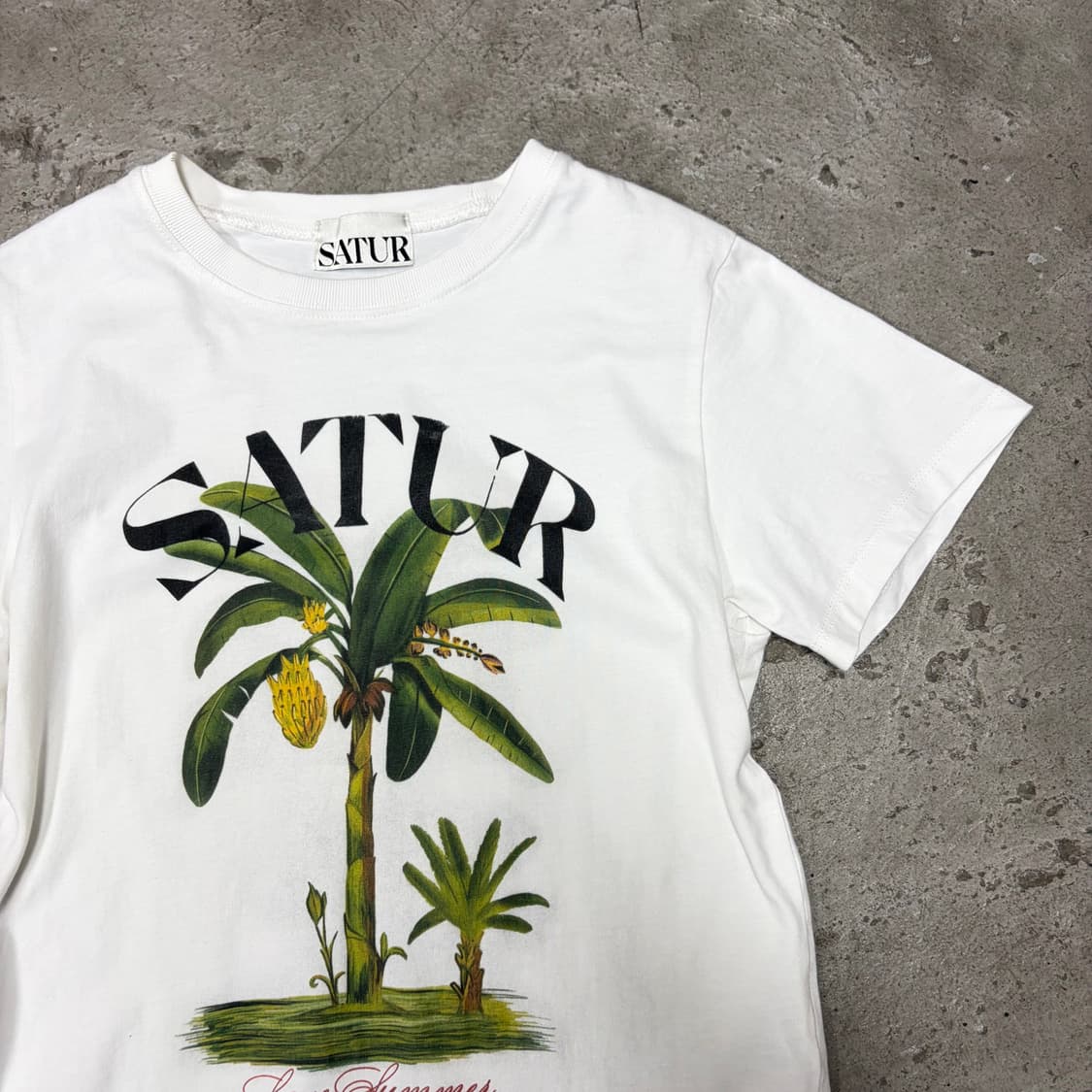 세터 야자수 반팔티[2365] 상품이미지3