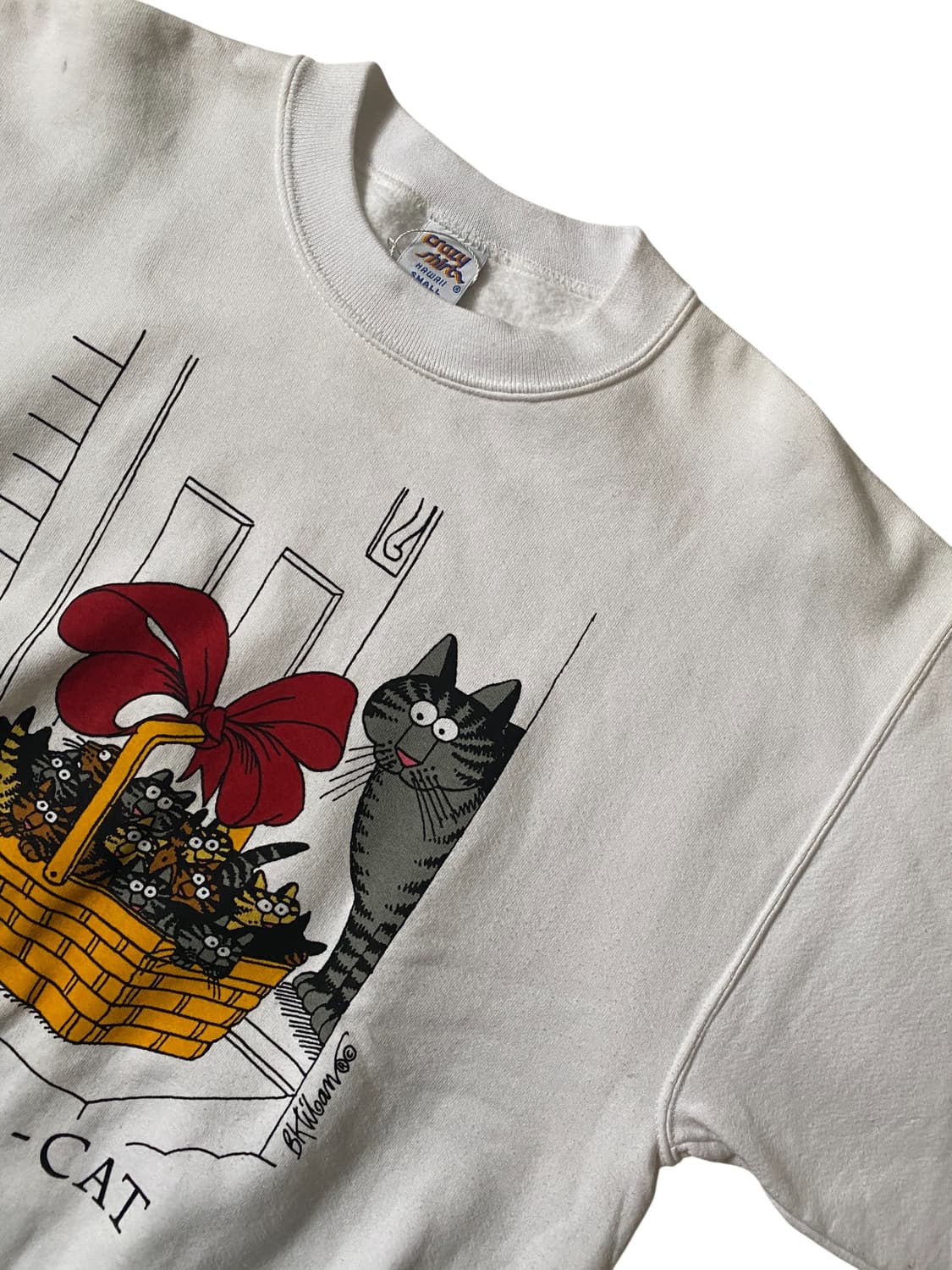 프린팅 스웻셔츠 Made in U.S.A (Man M) AB1286 상품이미지3