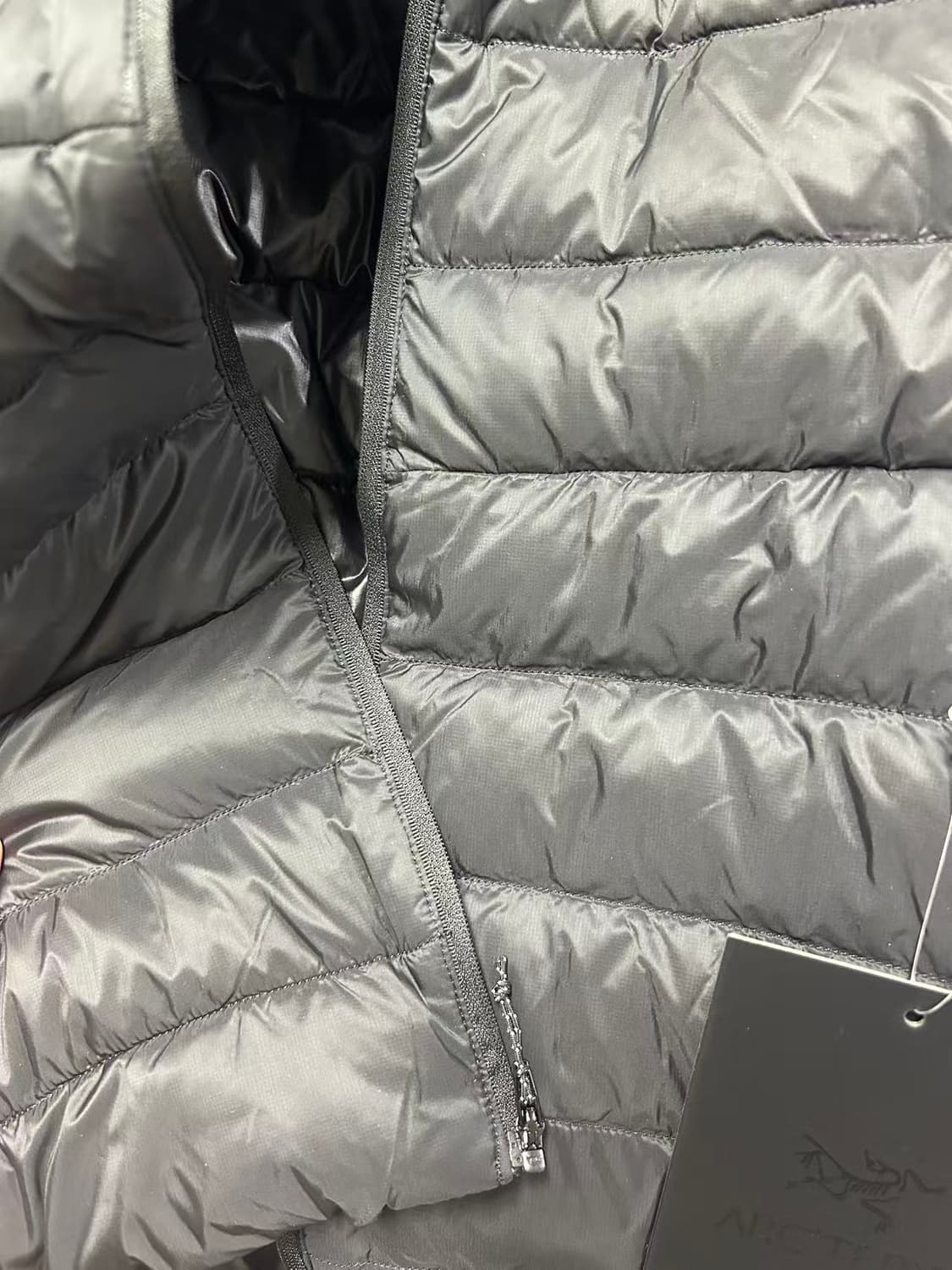 아크테릭스 세륨 후디 블랙 L 상품이미지6