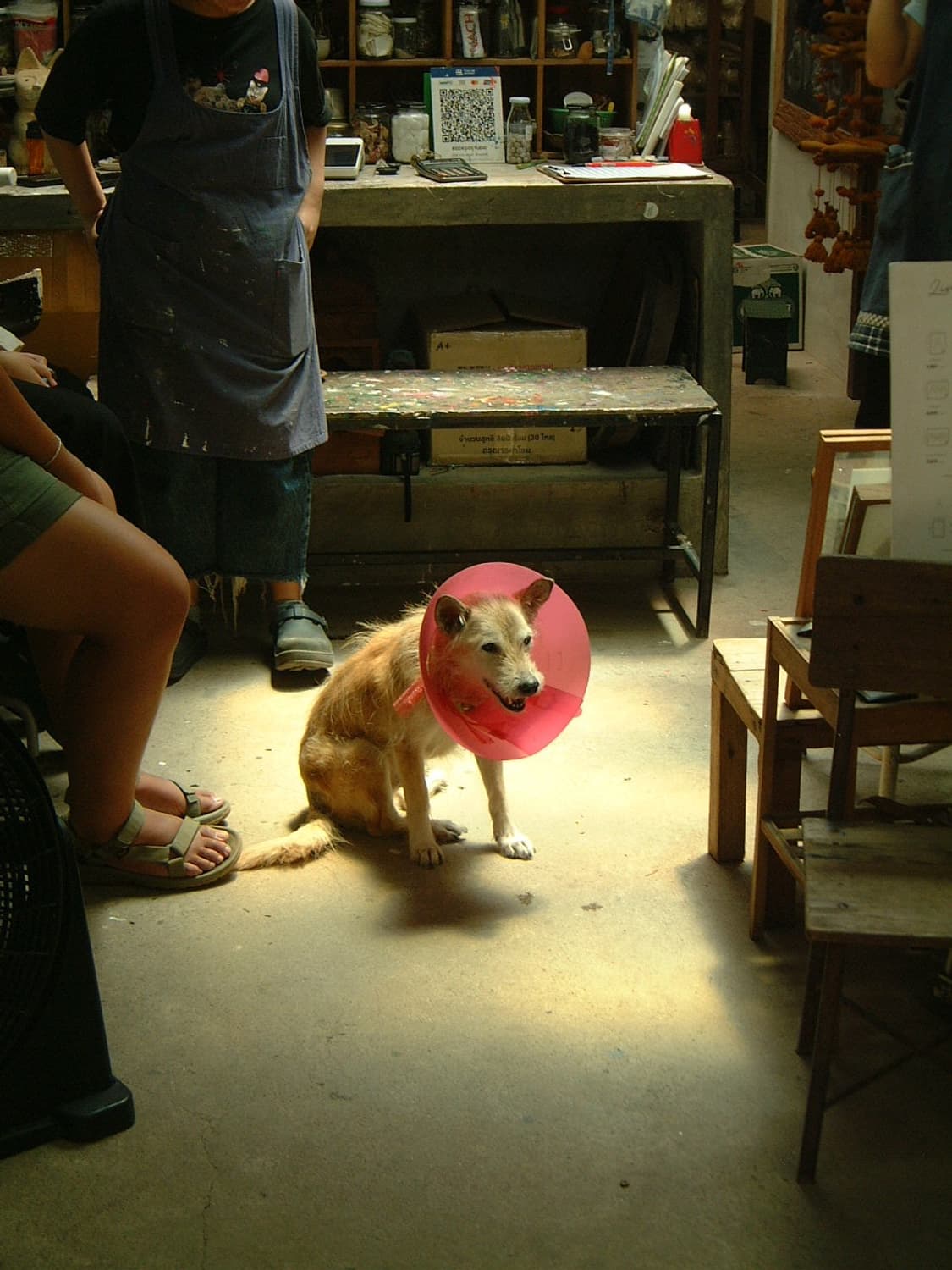 빈티지 디카의 정석! 후지 파인픽스 4700z 상품이미지7