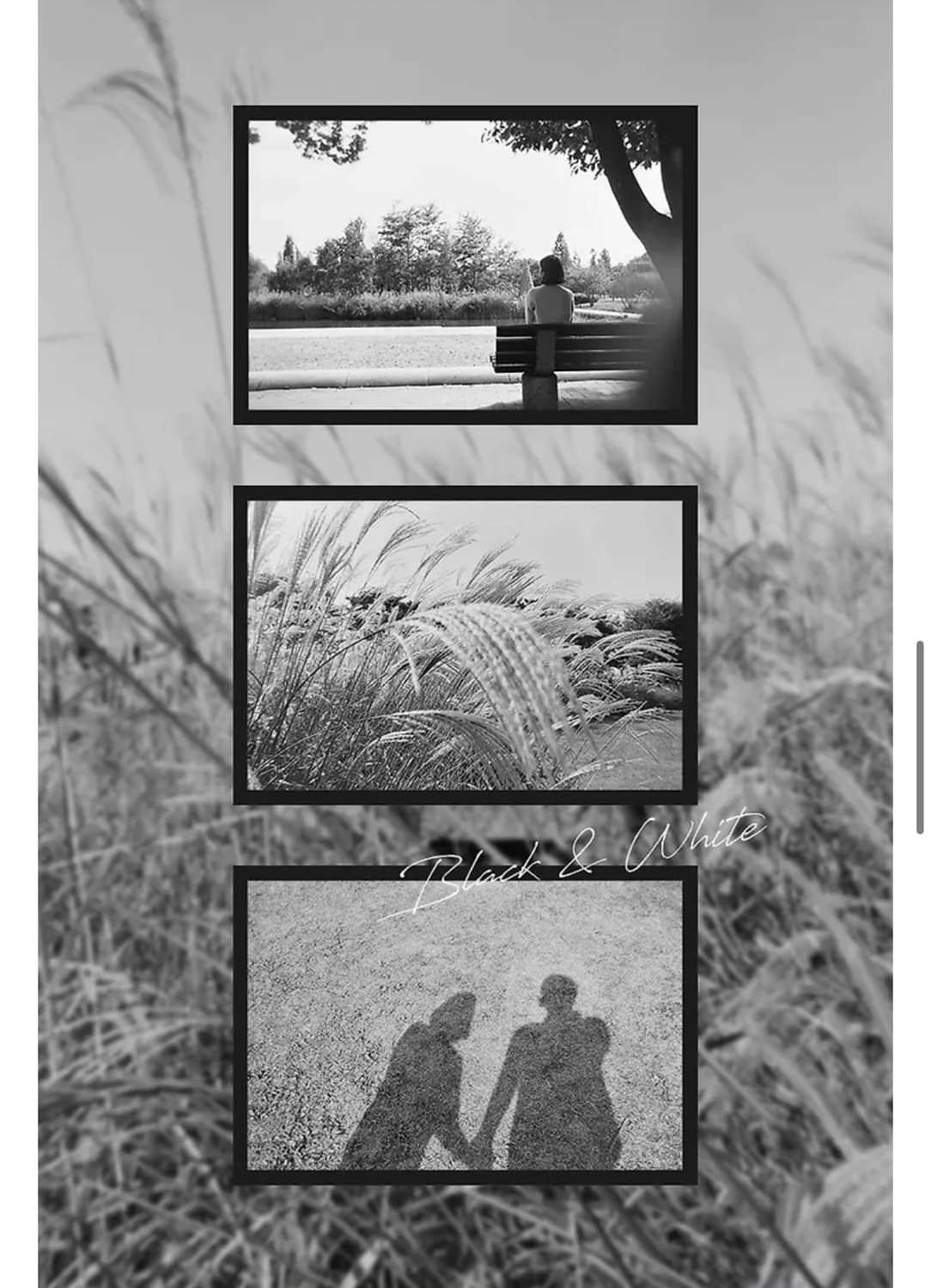 하만 일회용 흑백 필름카메라 상품이미지4