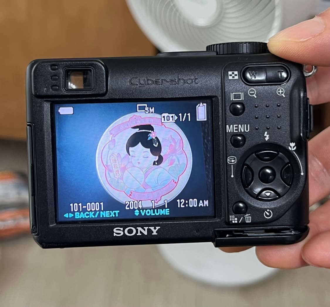 소니 Cyber-shot DSC-W12 상품이미지4