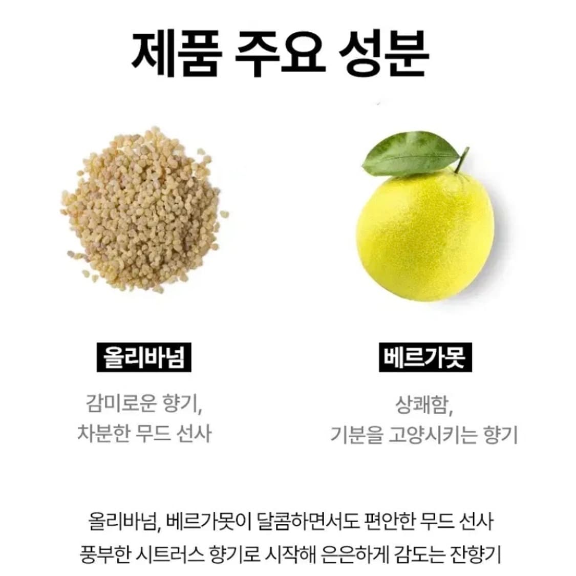 [정품] 러쉬 아보카도 코워시 200ml 대용량 바디 스프레이(새제품) 상품이미지5