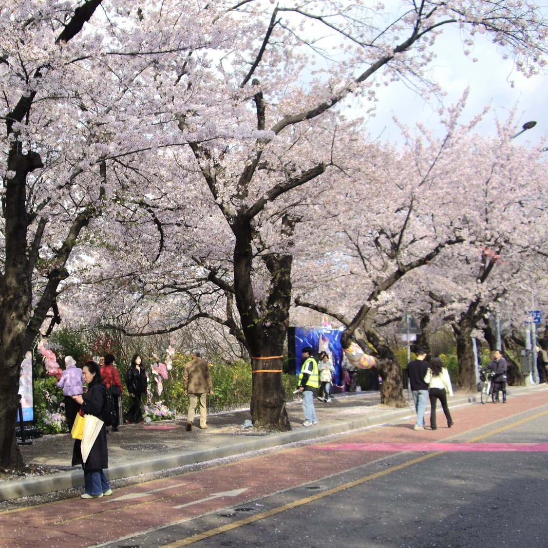 펜탁스 옵티오 A10(작례O) 상품이미지5