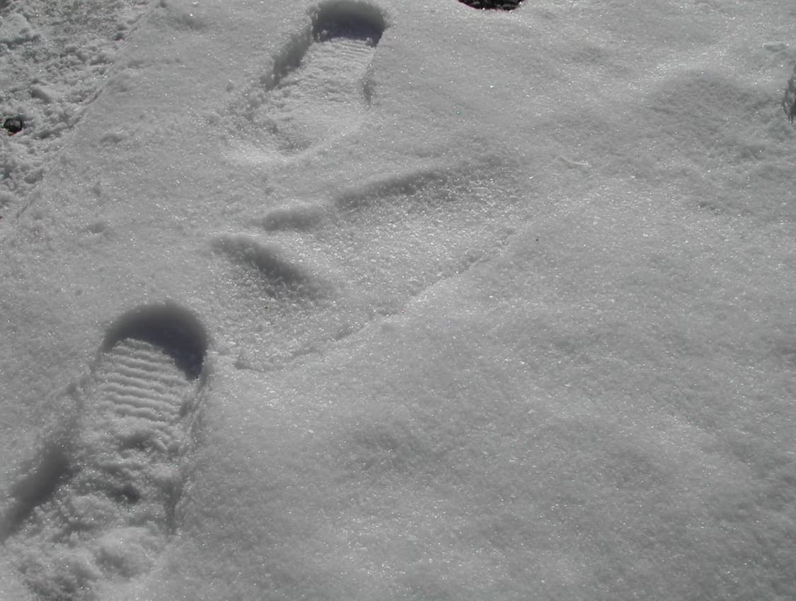 Nikon Coolpix 885 (Y2K 디카 감성) 상품이미지7