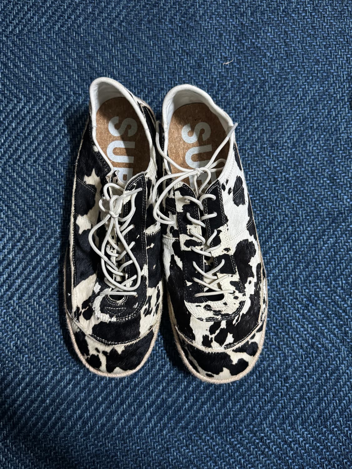 서브카테고리 f161 dalmatian 280 상품이미지2