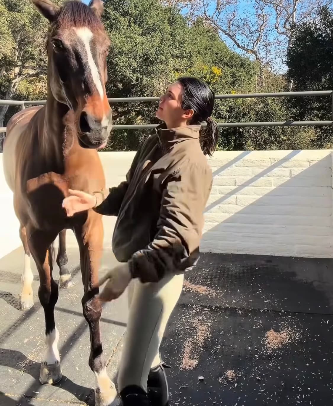 LL bean 워밍업 자켓 플리스 토프브라운 상품이미지1