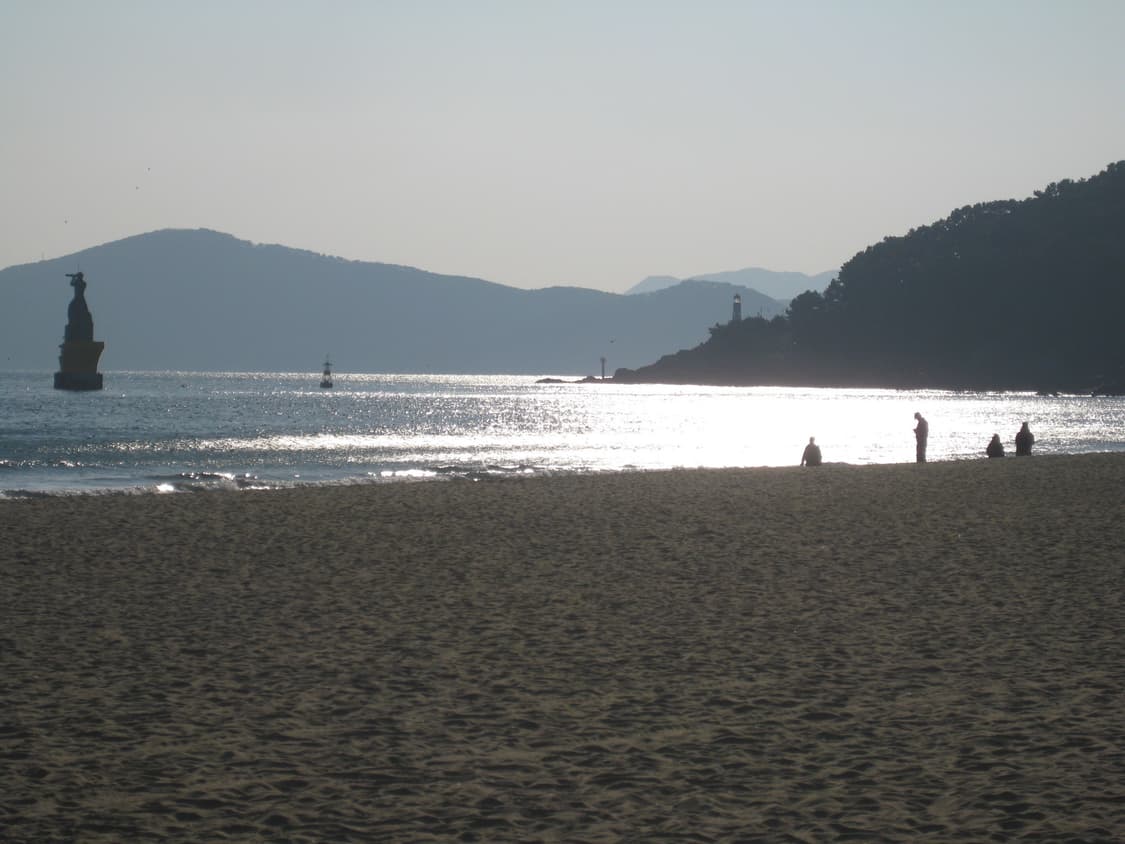 캐논 ixus 80 is 디카 상품이미지6