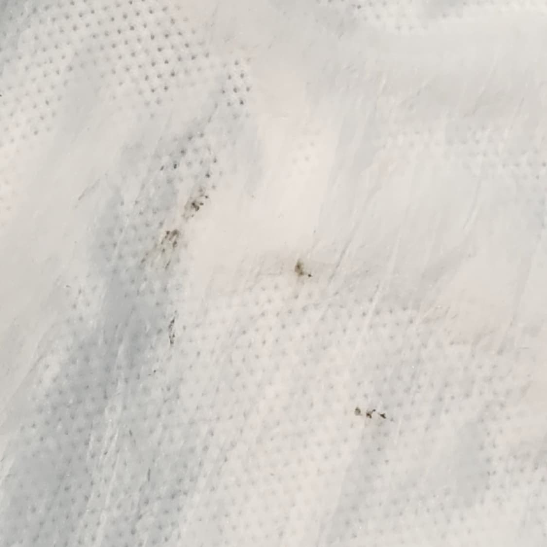 나이키 에어 조던 바람막이 흰색 L 상품이미지3