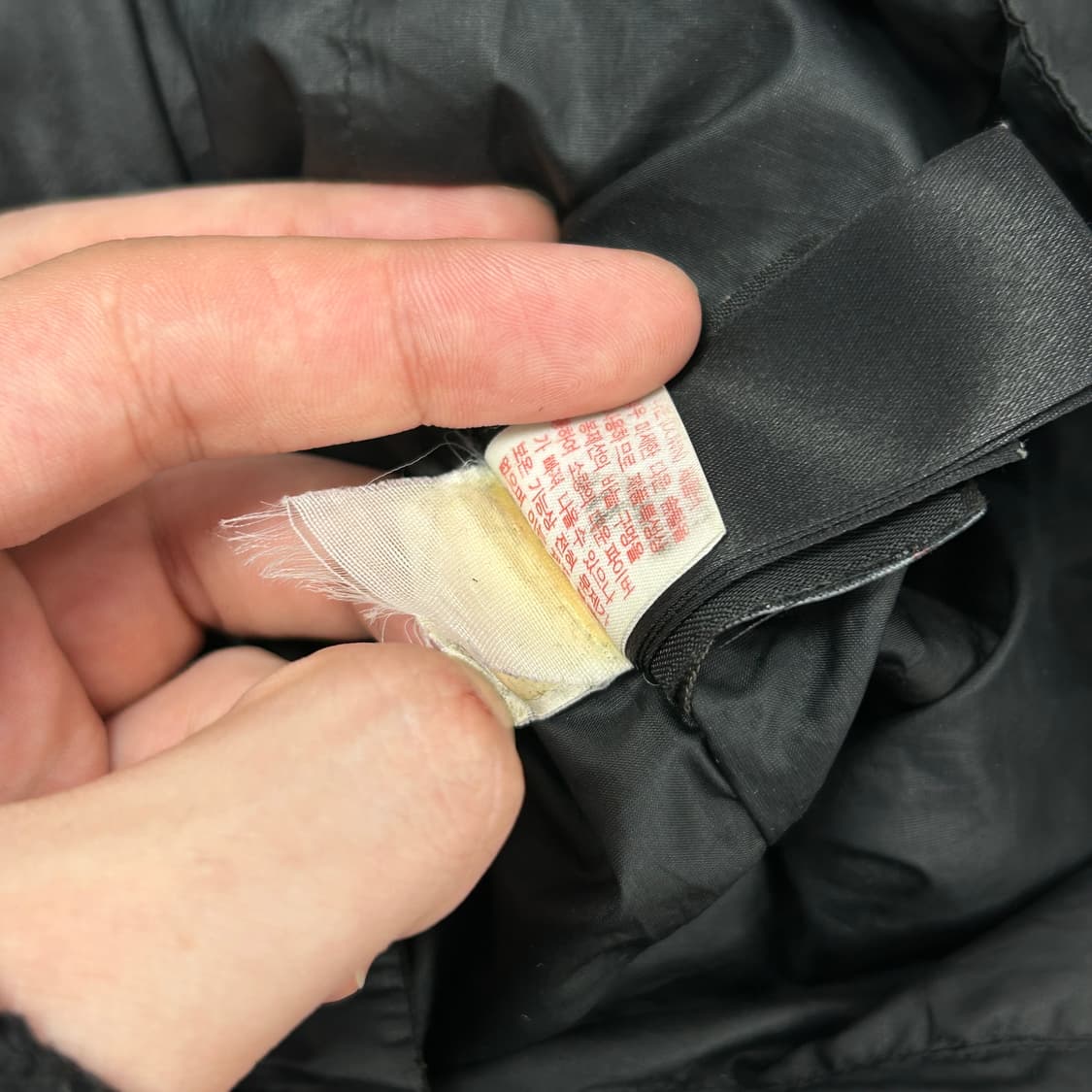 노스페이스 써밋 800 경량패딩(L) 상품이미지4