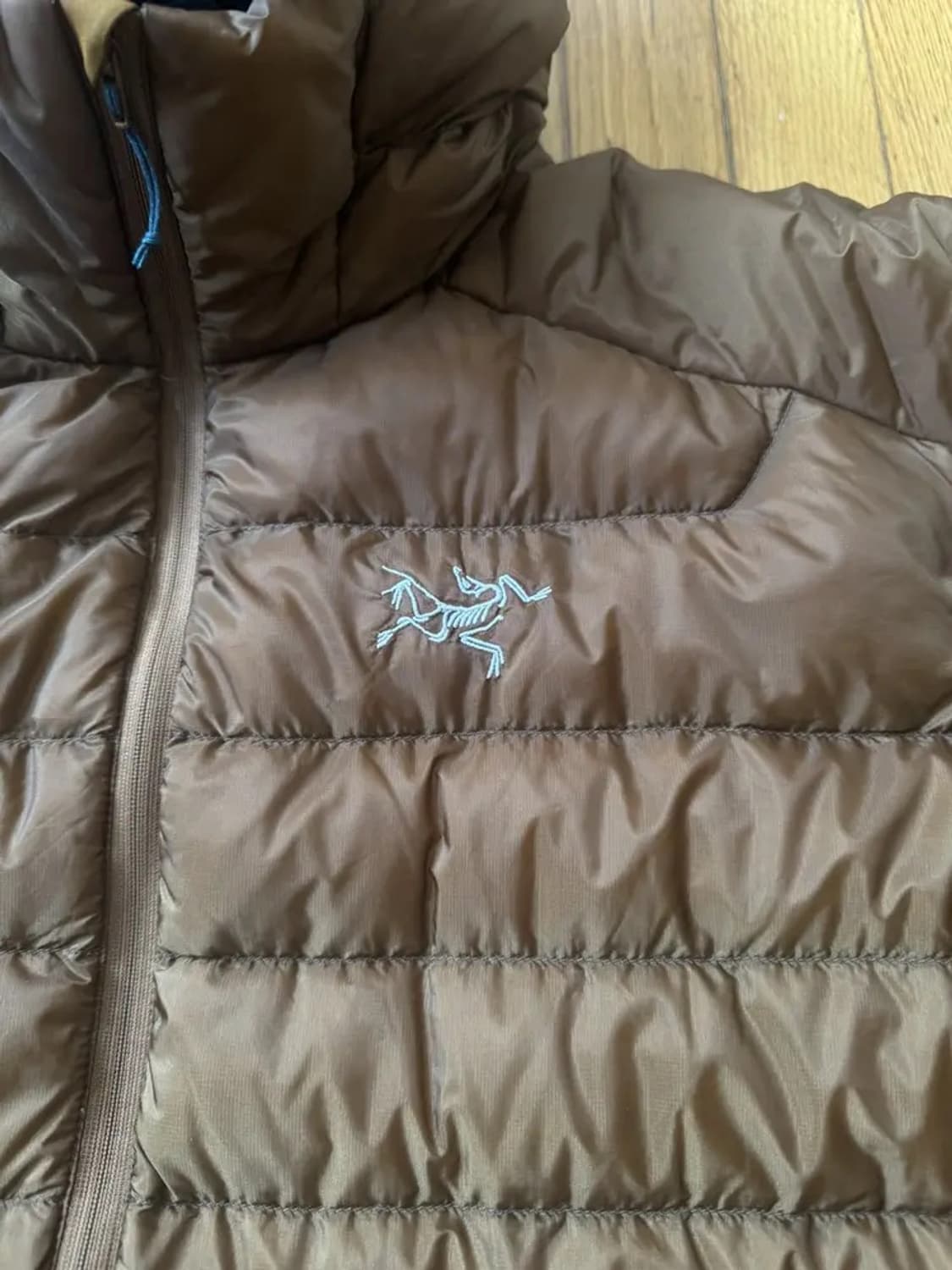 빈티지 아크테릭스 세륨 후디 라지 상품이미지3