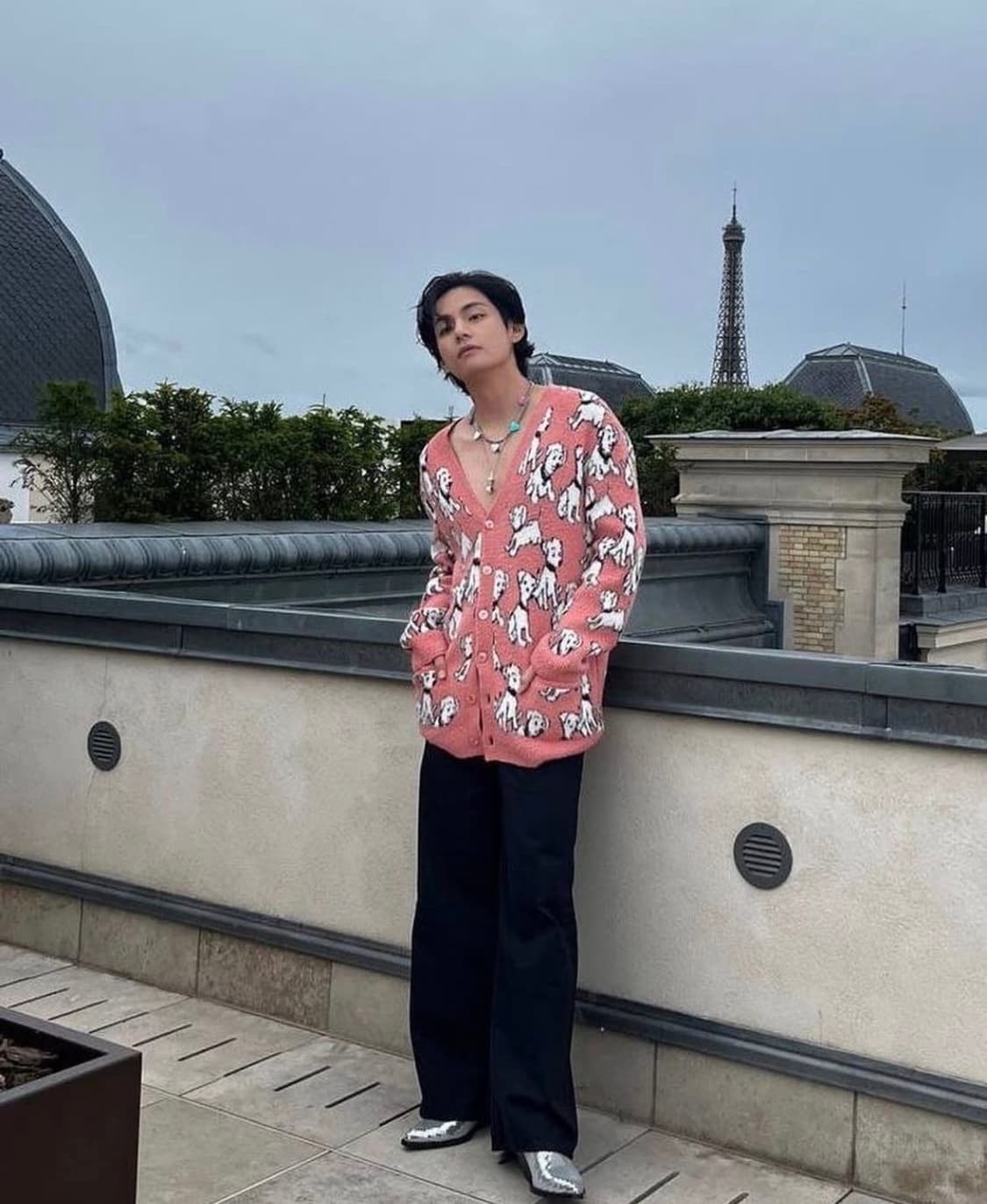 [새상품] 셀린느 22S/S 에이미 도리안 달마시안 강아지 가디건 상품이미지1