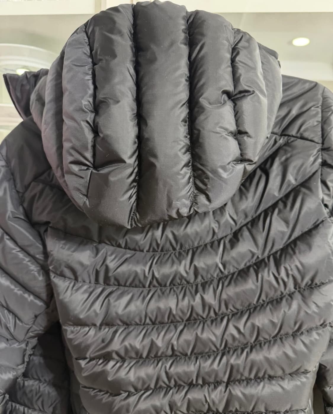 아크테릭스 세륨 후디 여성용 상품이미지8