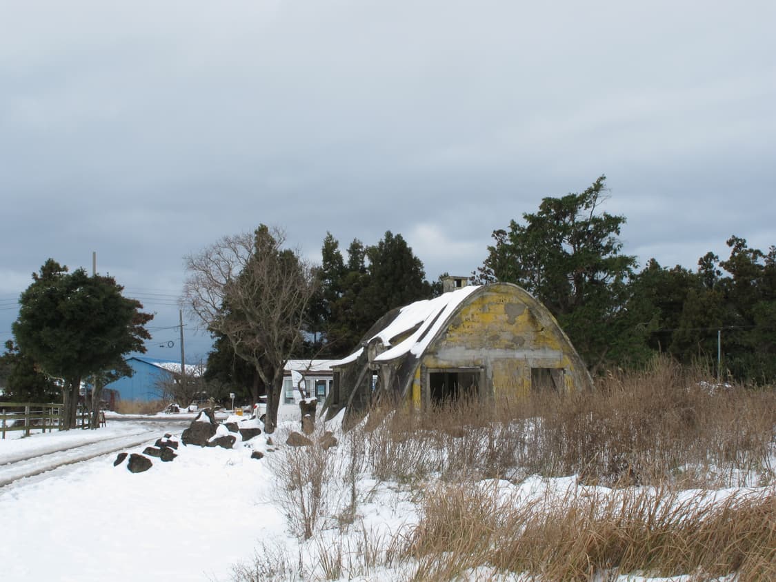 [빈티지 디카] 캐논 파워샷 g11(작례O) 상품이미지8