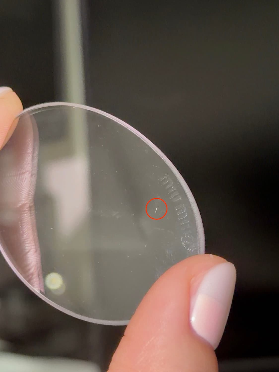 미우미우 리가드 얼터너티브 핏 상품이미지5