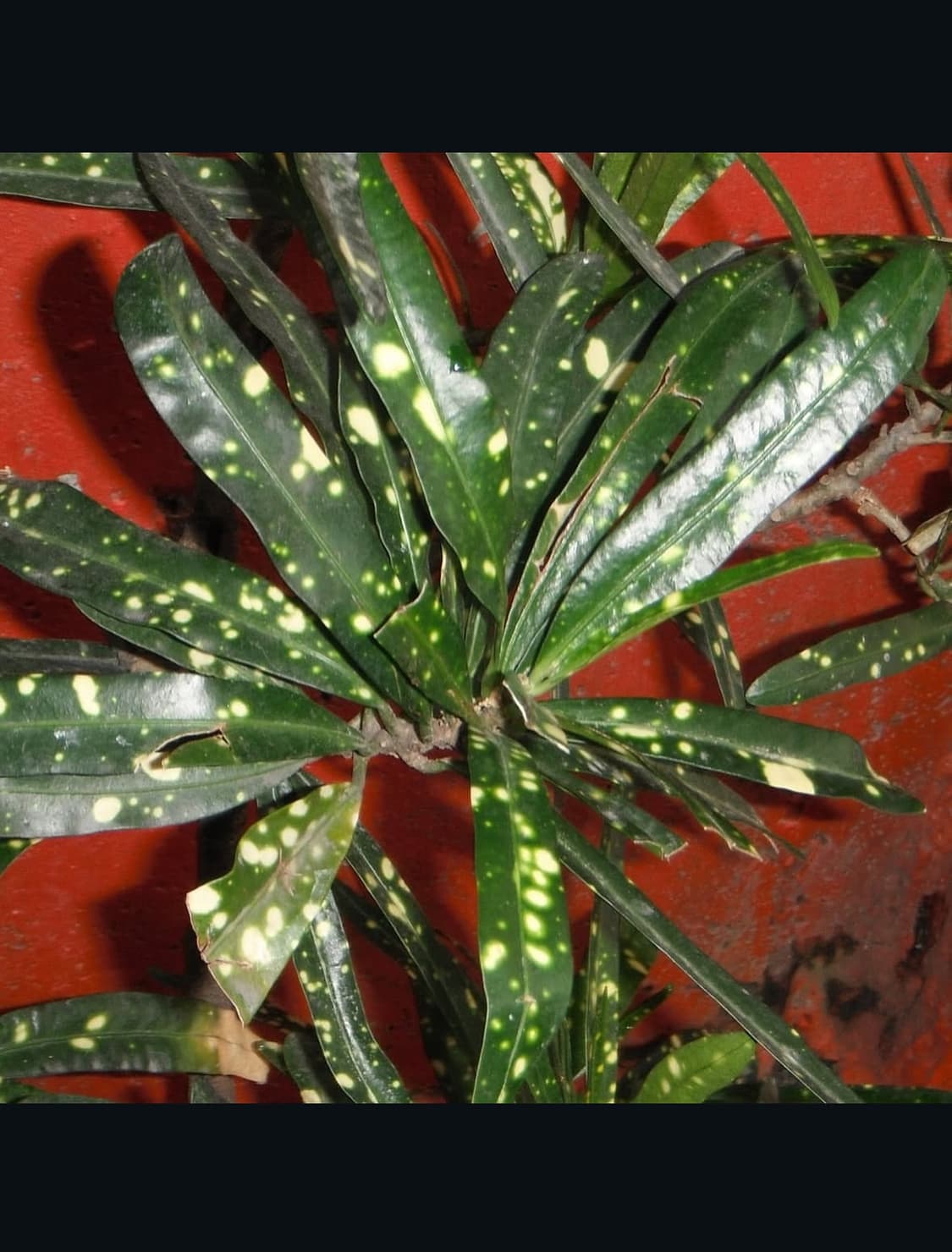 후지필름 파인픽스 z85 디지털카메라 상품이미지9