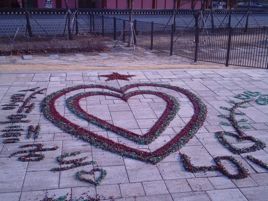 jvc picsio gc wp10 상품이미지6