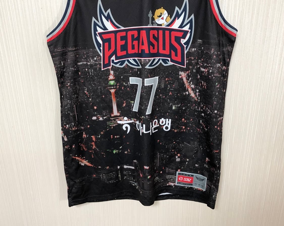 KBL STIZ 대구 한국가스공사 페가수스 시티에디션 XL #77 이도헌 상품이미지3