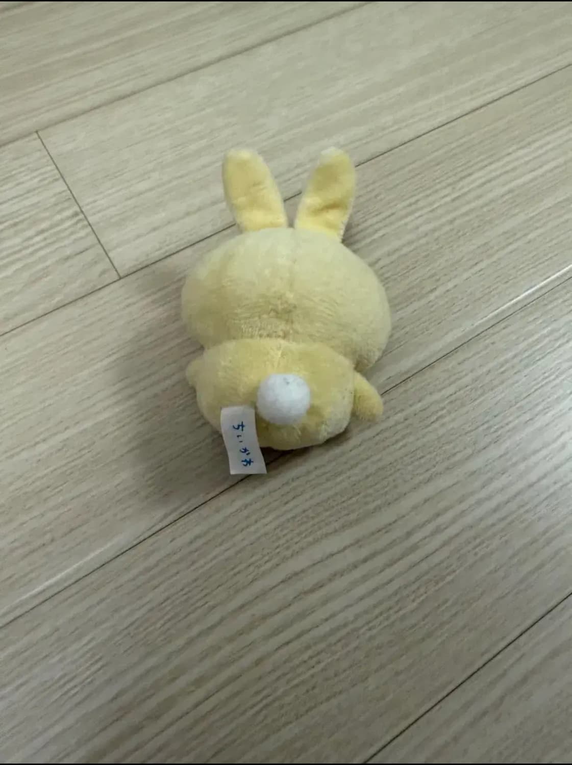 먼작귀 우사기 인형 상품이미지2