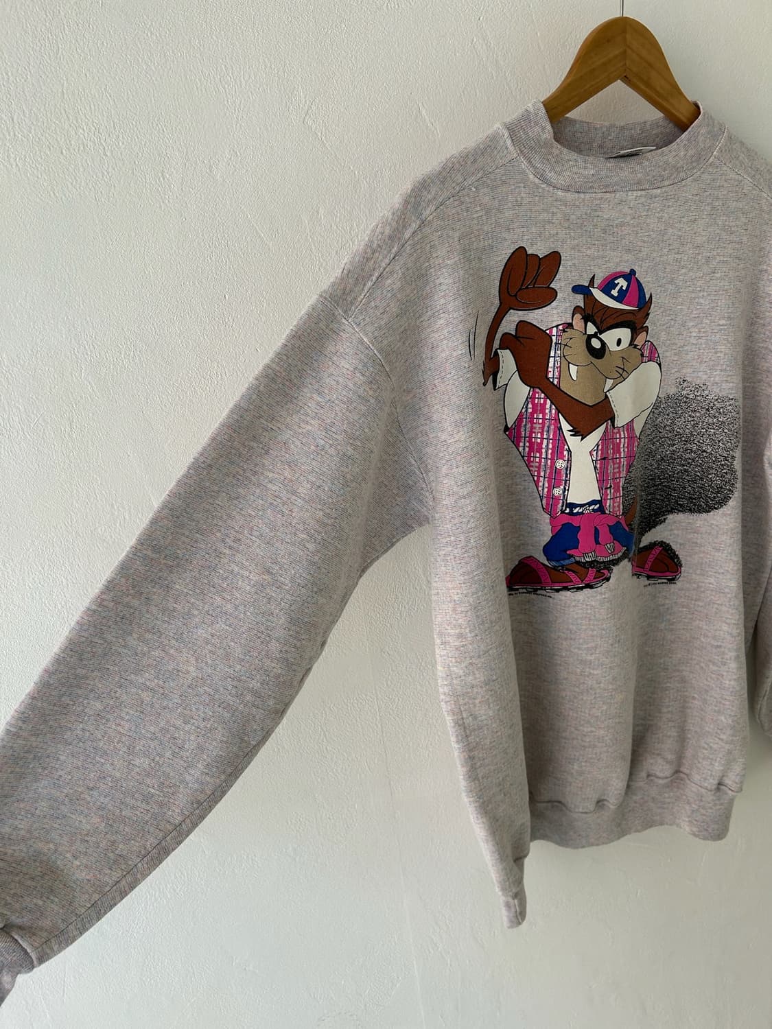 90' Warner bros Taz USA Sweatshirt.  상품이미지6