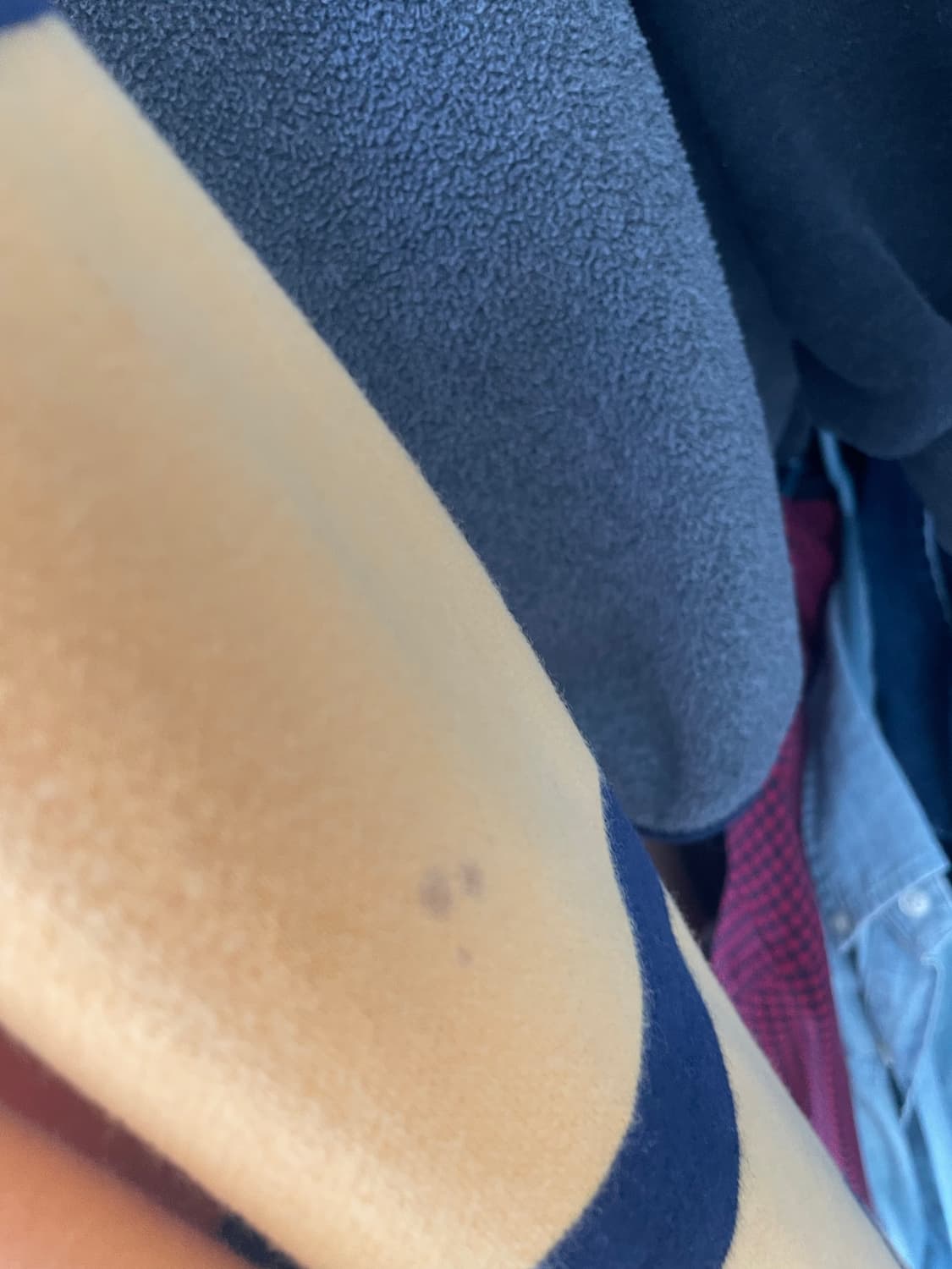 폴로 럭비 긴팔 카라티 상품이미지2