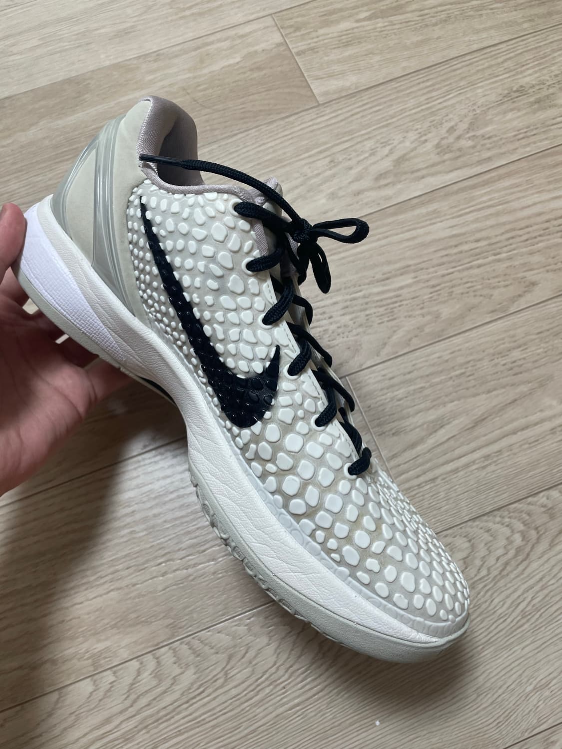 코비6 세일 상품이미지8