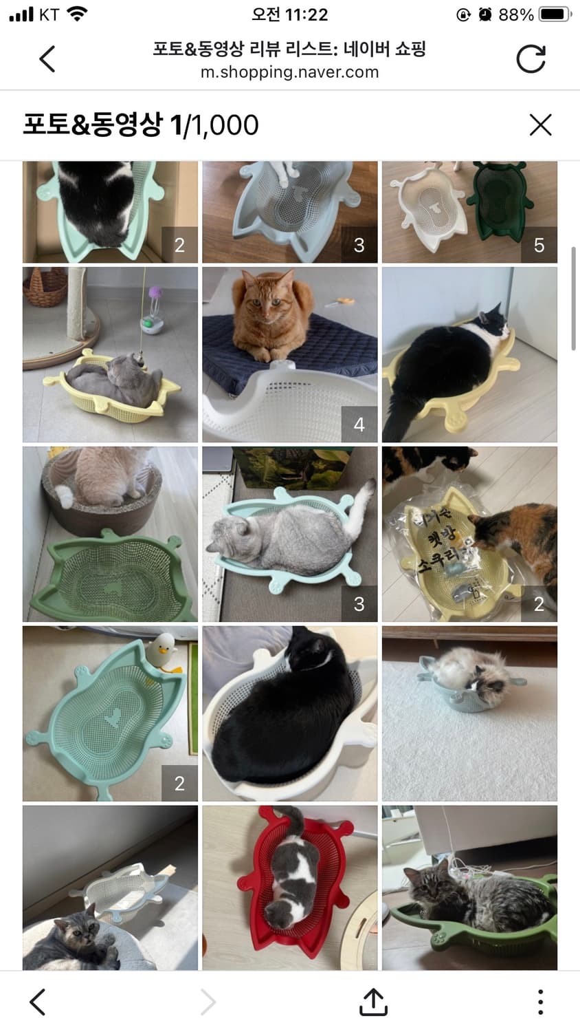 대구 직거래) 🐱🐈캣방 고양이 소쿠리 핑크 새상품 반려동물 상품이미지4