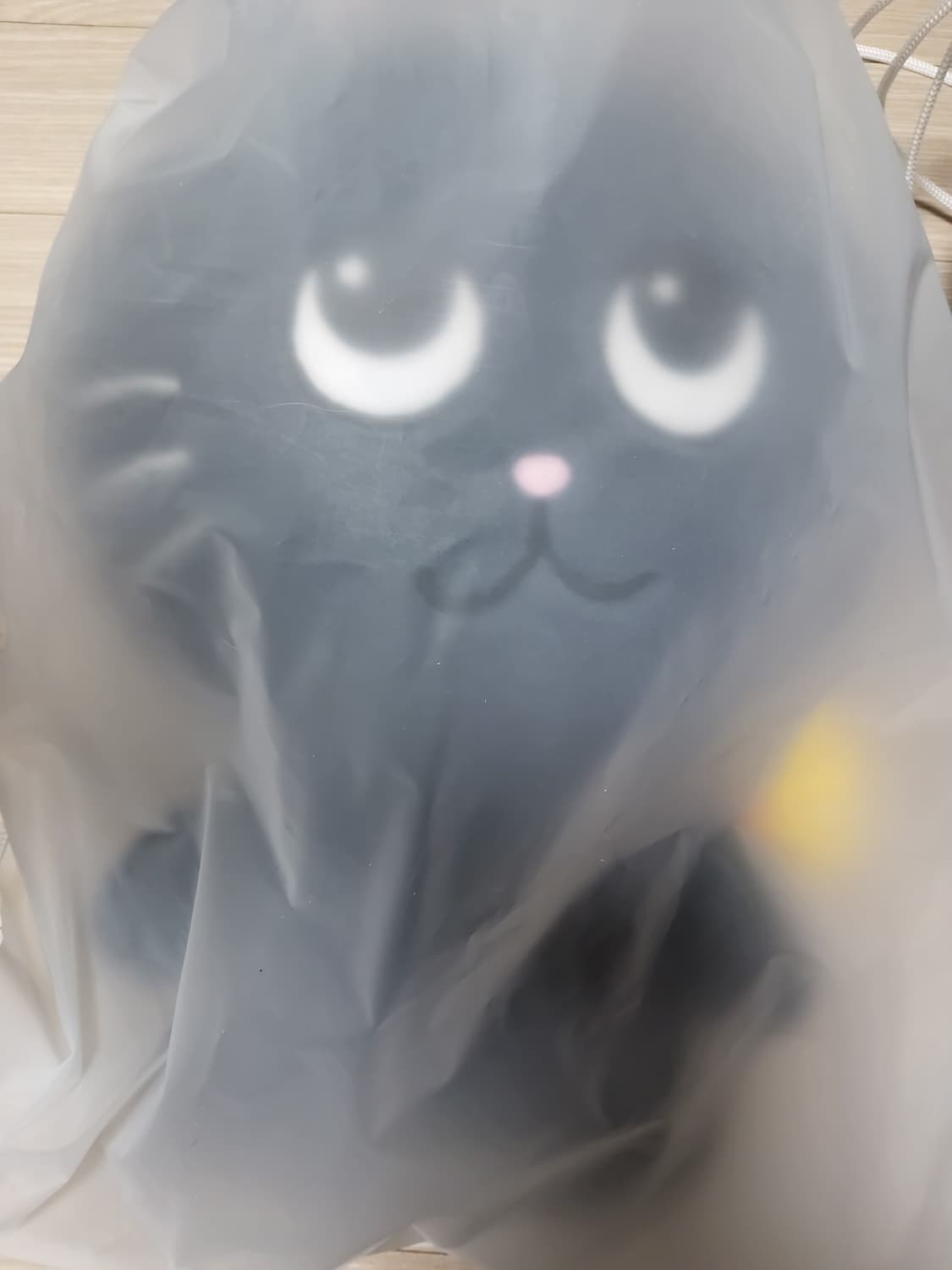 RIIZE 원빈 토냥덕 40cm 인형 새상품 상품이미지2