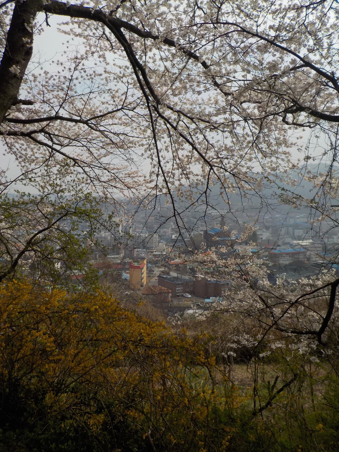 [초인기💕] 찰스엔터 니콘 쿨픽스 W100 핑크 상품이미지9