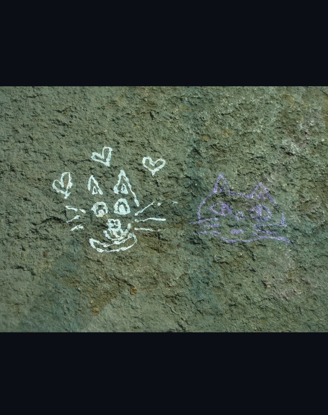 코닥 이지쉐어 dx6340 디지털카메라 상품이미지9