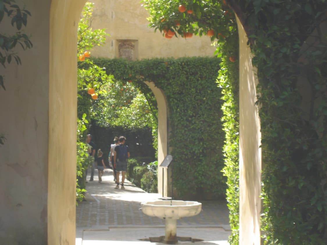 캐논 익서스 60  (계좌이체 만원 할인) 상품이미지6