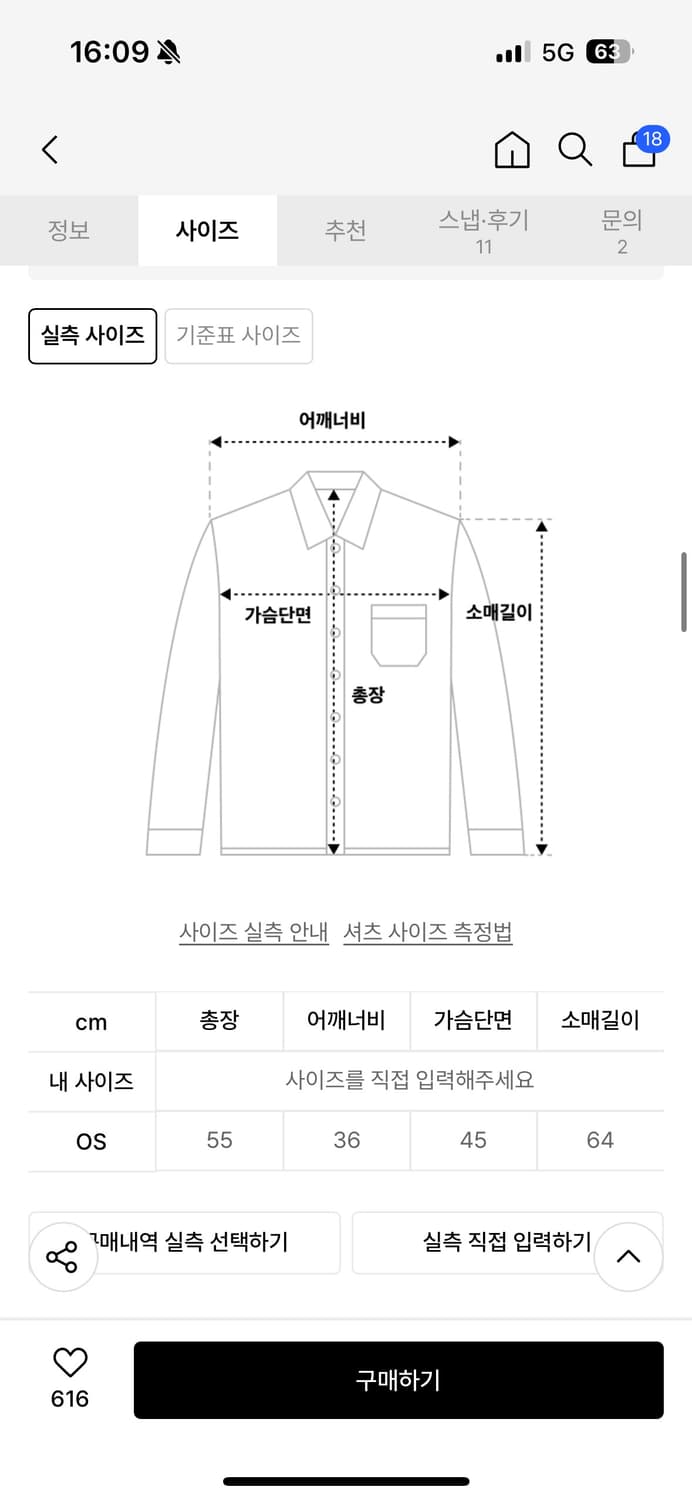 헬레네파리스 페이즐 핀 포인트 셔츠 [아이스 오로라 ST] 상품이미지4