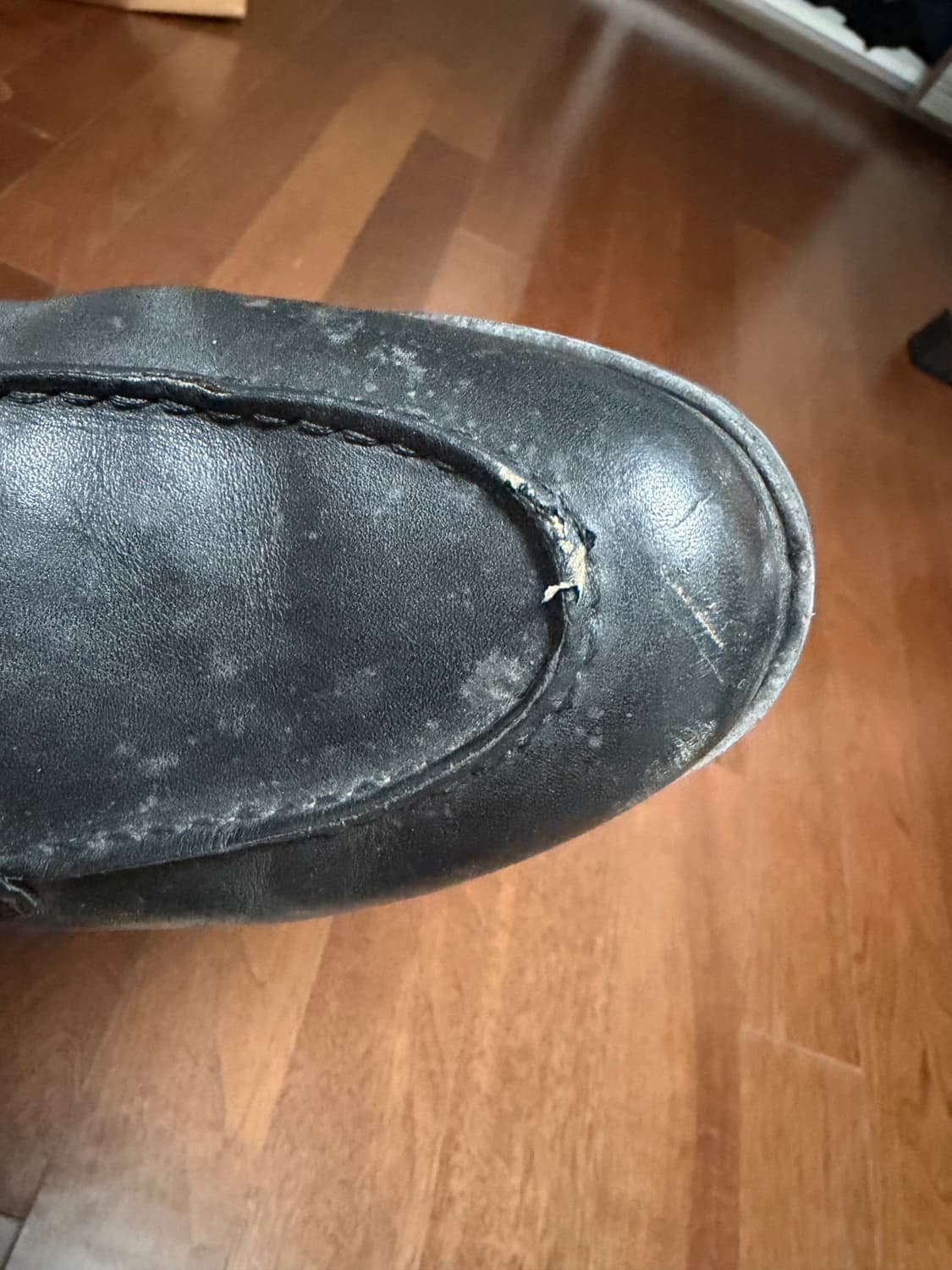 파라부트 샴보드 9사이즈 상품이미지7