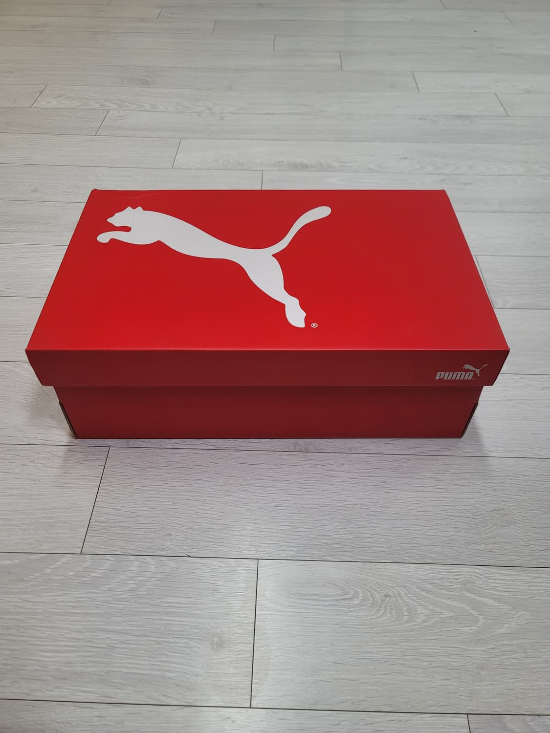 (285)푸마 풋살화 퓨처 7 플레이 TT[대전 직거래도 가능] 상품이미지2