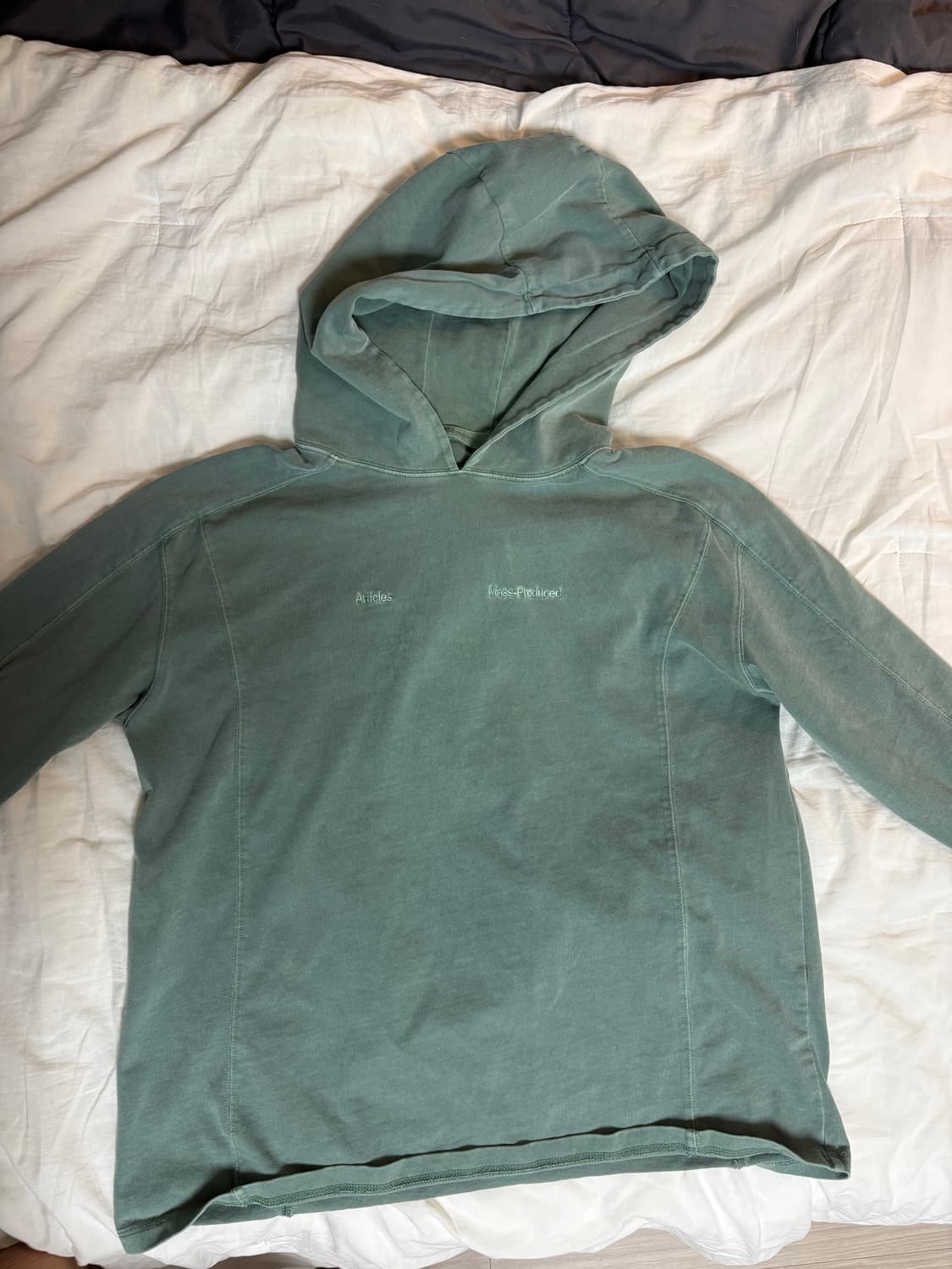 플라스틱 프로덕트 SPEED CTRL HOODIE L 상품이미지1