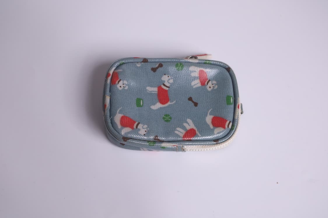 캐논 익시 디지털 70 (익서스 60 일본 내수 모델) 박스셋 상품이미지8